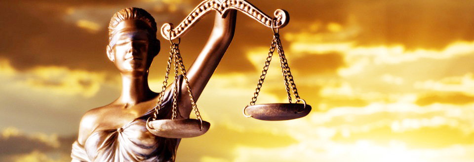 Entregamos excelencia